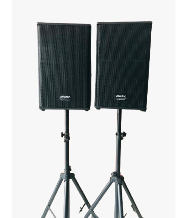 Professional Speaker Model PS 012A