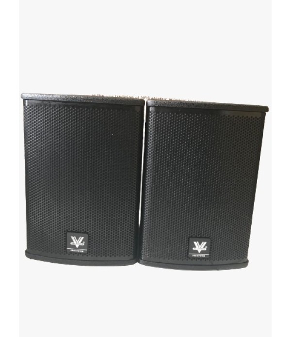 Professional Speaker Model LT16