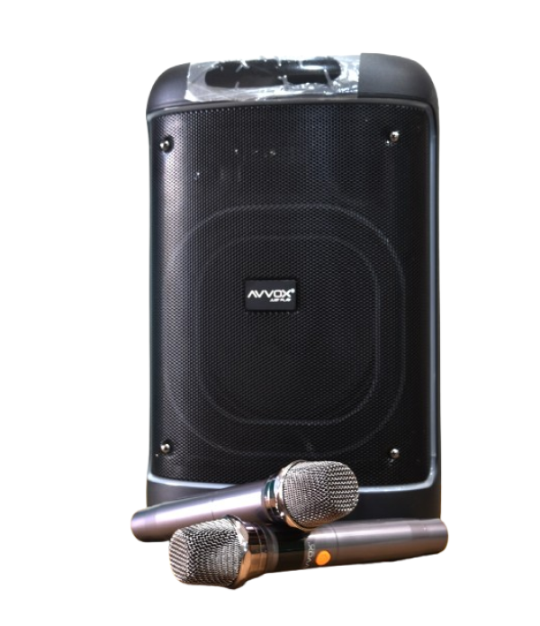 Rechargeable Karaoke Speaker Model - ECHO LITE